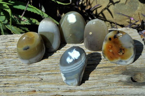 Polished Banded / Dendritic Agate Standing Display Free Forms  x 6 From Madagascar - TopRock