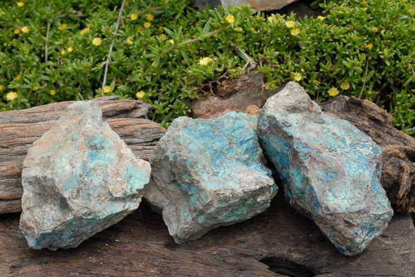 Natural Shattuckite Cobbed Pieces x 3 From Namibia - TopRock