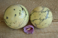 Polished Leopard Stone Spheres x 2 From Zimbabwe - TopRock