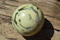 Polished Leopard Stone Spheres x 2 From Zimbabwe - TopRock