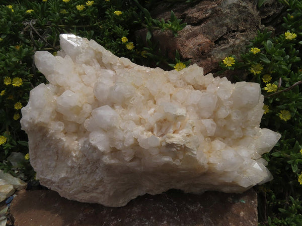 Natural Castle Window Quartz Crystal Cluster With White Phantoms x 1 From Ivato, Madagascar - TopRock