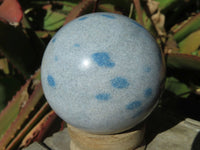 Polished Blue Spotted Spinel Spheres x 6 From Madagascar - TopRock