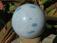 Polished Blue Spotted Spinel Spheres x 6 From Madagascar - TopRock