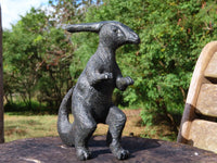Polished  Large Dinosaur Carving x 1 From Zimbabwe - TopRock