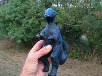 Polished  Large Dinosaur Carving x 1 From Zimbabwe - TopRock