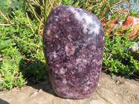 Polished Lepidolite Free Forms x 2 From Zimbabwe - TopRock