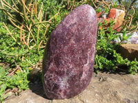 Polished Lepidolite Free Forms x 2 From Zimbabwe - TopRock