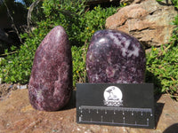 Polished Lepidolite Free Forms x 2 From Zimbabwe - TopRock
