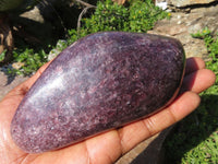 Polished Lepidolite Free Forms x 2 From Zimbabwe - TopRock