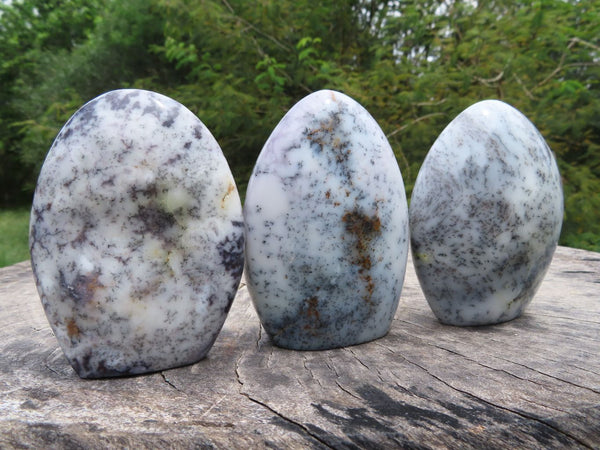 Polished Dendritic White Opal Standing Free Forms x 6 From Madagascar - TopRock