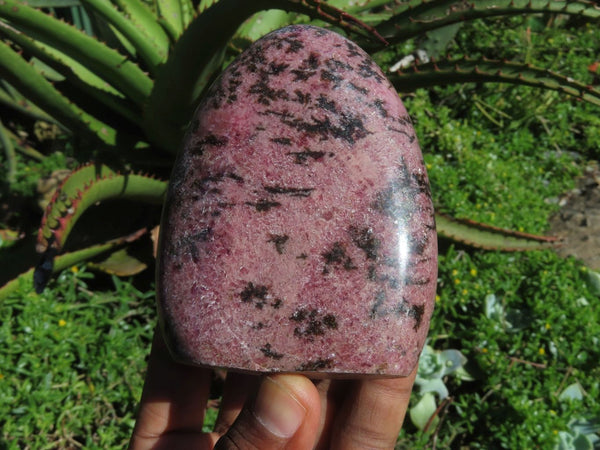 Polished Rhodonite Standing Free Forms x 3 From Ambindavato, Madagascar - TopRock