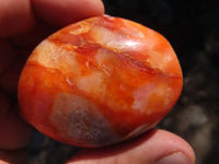 Polished Lovely Contrasting Carnelian Gallets x 12 From Madagascar - TopRock