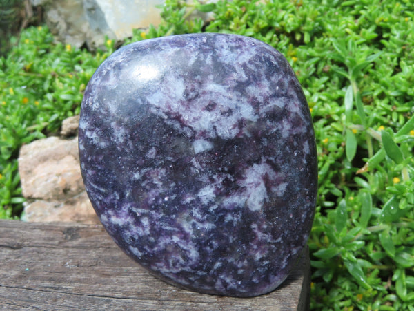 Polished Lepidolite Standing Free Forms x 2 From Zimbabwe - TopRock