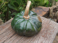 Polished Verdite Pumpkin Carving x 1 From Zimbabwe - TopRock