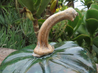 Polished Verdite Pumpkin Carving x 1 From Zimbabwe - TopRock