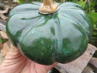 Polished Verdite Pumpkin Carving x 1 From Zimbabwe - TopRock