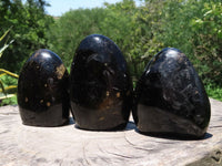 Polished Black Tourmaline Standing Free Forms With Biotite Mica Patterns x 3 From Madagascar - TopRock