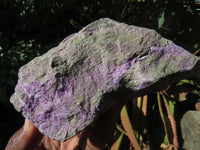 Natural Selected Rare Stichtite & Green Serpentine Specimens x 4 From Barberton, South Africa - TopRock