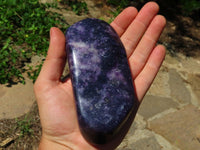 Polished Lepidolite Free Forms x 3 From Zimbabwe - TopRock