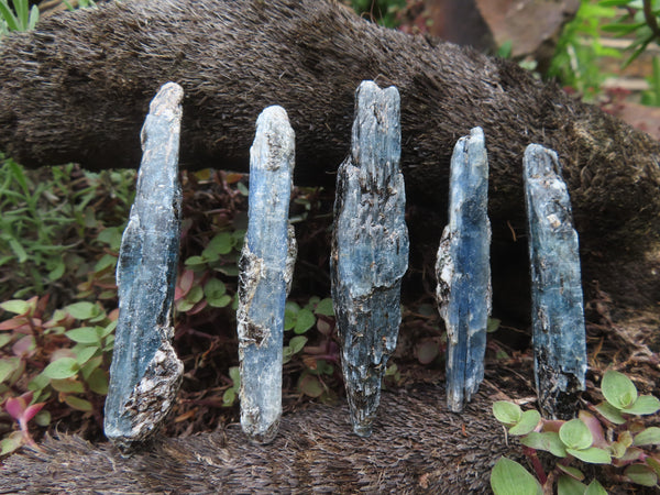 Natural Blue Kyanite Crystals (Aluminium Silicate) - sold per 1 kg - from Karoi, Zimbabwe - TopRock