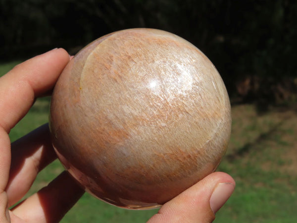 Polished Shimmery Peach Moonstone Sphere & Palm Stones x 11 From Madagascar - TopRock