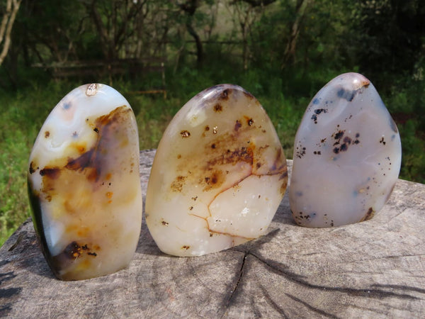 Polished Dendritic Agate Standing Free Forms x 3 From Moralambo, Madagascar - TopRock