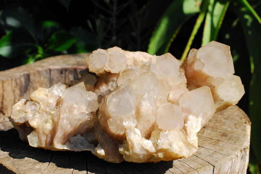 Natural Cascading White Phantom Smokey Quartz Classic Cluster x 1 From Lwena, Congo - TopRock