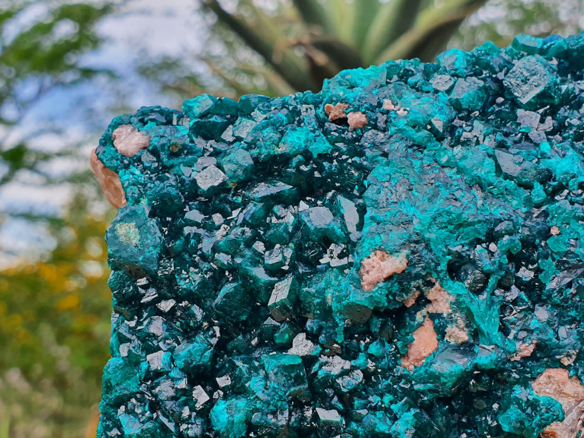 Natural XXL Classic Museum Class Specimen. Stands Nicely On Dolomite Base With 2 Sides Cover With Emerald Green Crystals x 1 From Tantara, Congo - TopRock