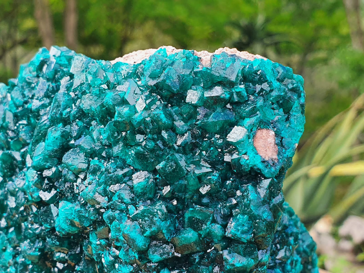 Natural XXL Classic Museum Class Specimen. Stands Nicely On Dolomite Base With 2 Sides Cover With Emerald Green Crystals x 1 From Tantara, Congo - TopRock