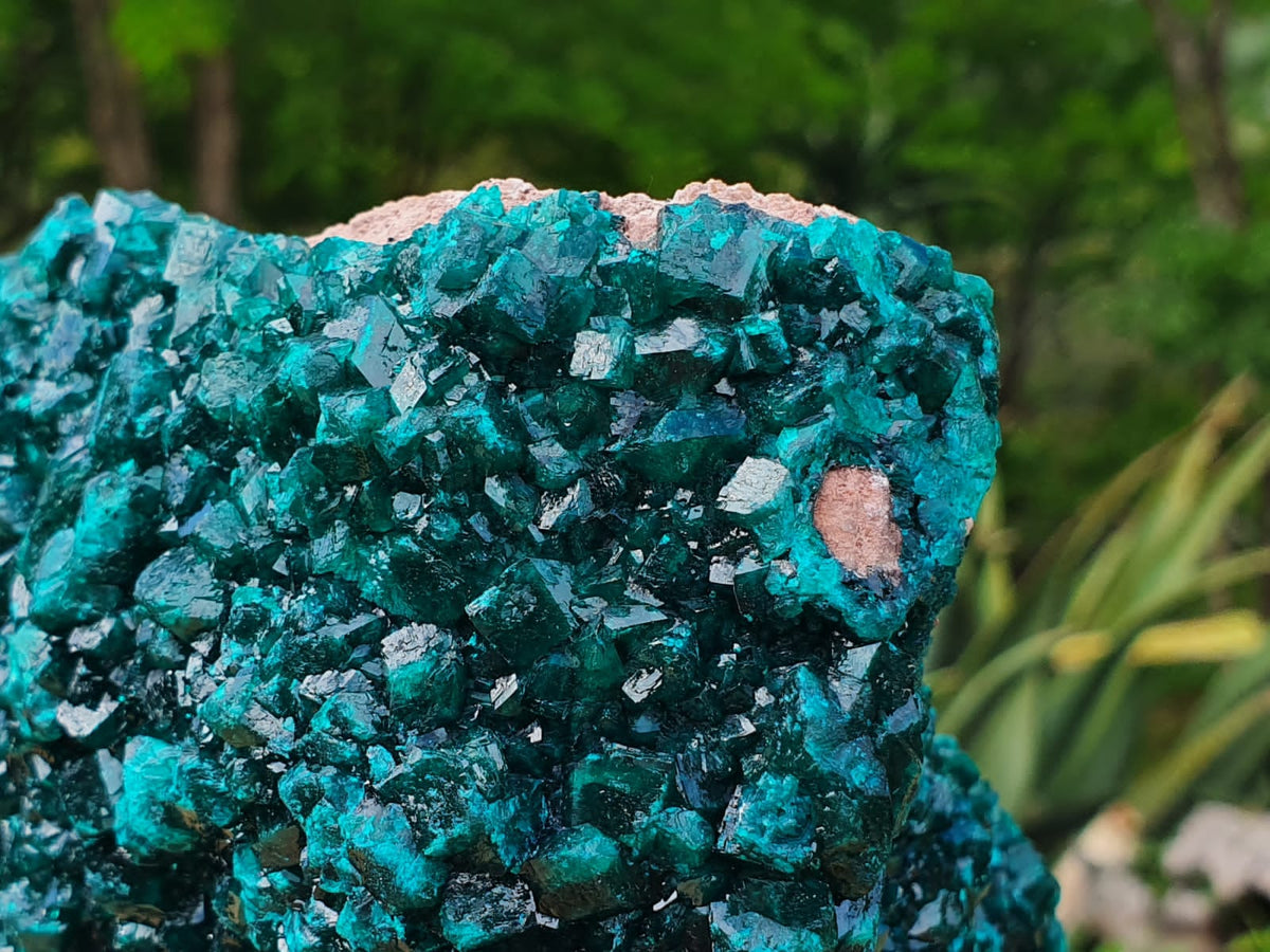 Natural XXL Classic Museum Class Specimen. Stands Nicely On Dolomite Base With 2 Sides Cover With Emerald Green Crystals x 1 From Tantara, Congo - TopRock