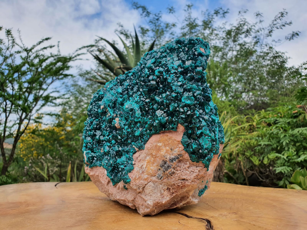 Natural XXL Classic Museum Class Specimen. Stands Nicely On Dolomite Base With 2 Sides Cover With Emerald Green Crystals x 1 From Tantara, Congo - TopRock