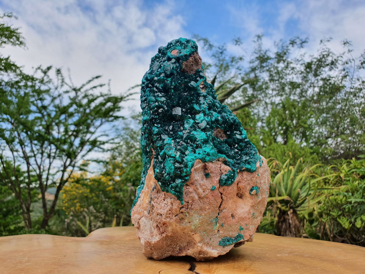 Natural XXL Classic Museum Class Specimen. Stands Nicely On Dolomite Base With 2 Sides Cover With Emerald Green Crystals x 1 From Tantara, Congo - TopRock