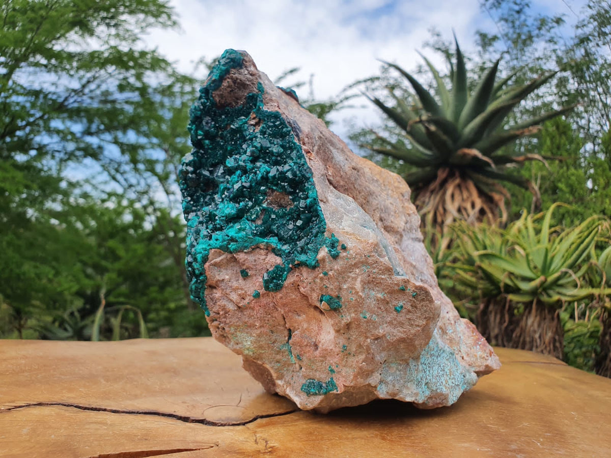 Natural XXL Classic Museum Class Specimen. Stands Nicely On Dolomite Base With 2 Sides Cover With Emerald Green Crystals x 1 From Tantara, Congo - TopRock