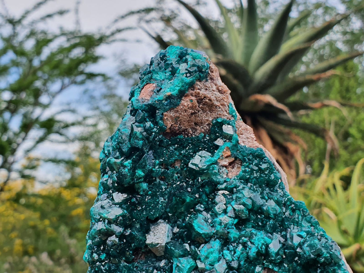 Natural XXL Classic Museum Class Specimen. Stands Nicely On Dolomite Base With 2 Sides Cover With Emerald Green Crystals x 1 From Tantara, Congo - TopRock