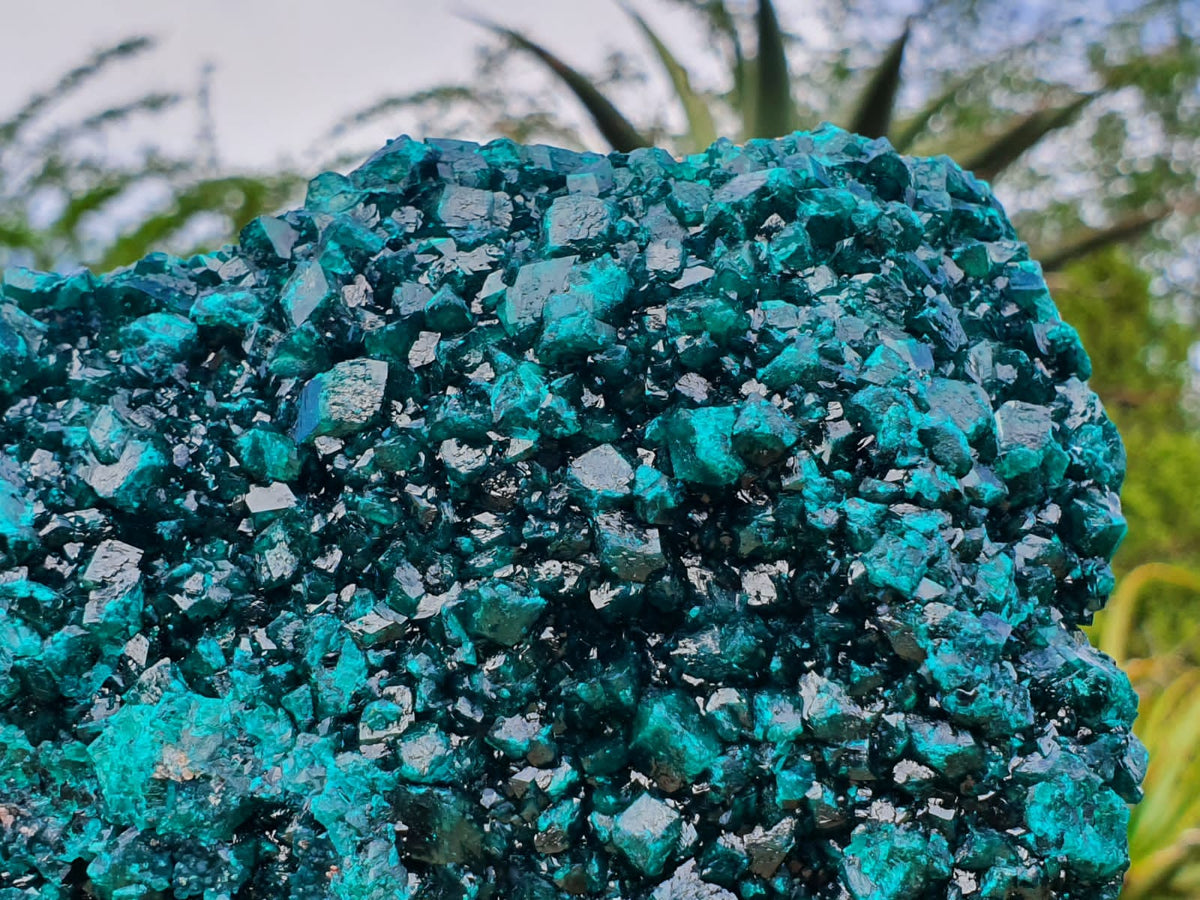 Natural XXL Classic Museum Class Specimen. Stands Nicely On Dolomite Base With 2 Sides Cover With Emerald Green Crystals x 1 From Tantara, Congo - TopRock
