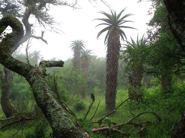 How ethical is our business? Our Toprock philosophy