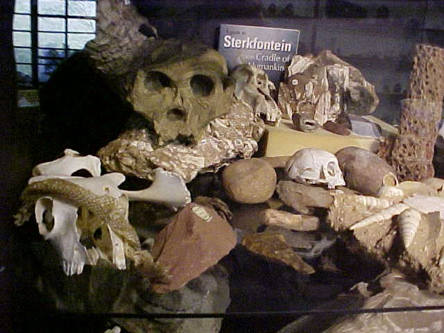 Museum Photo's