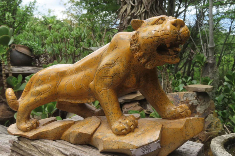 Latest XL and Architectural