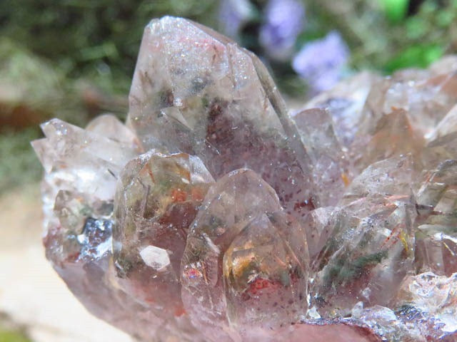ASYLUM QUARTZ
