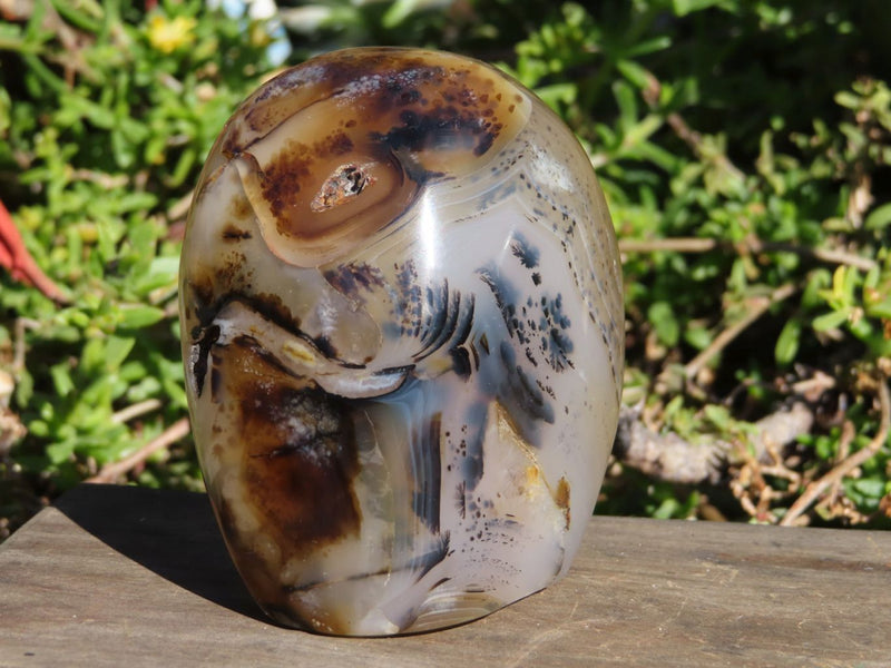 DENDRITIC AGATE