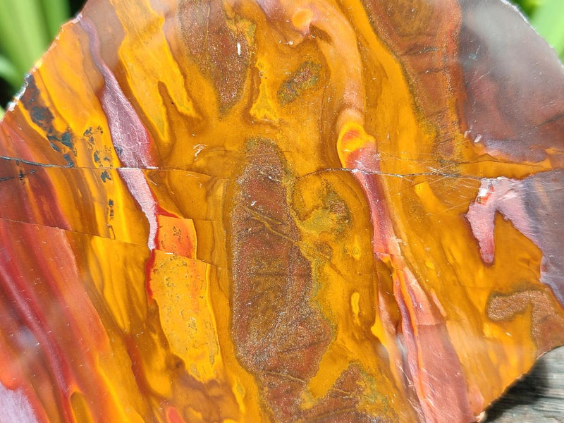 JUPITER JASPER