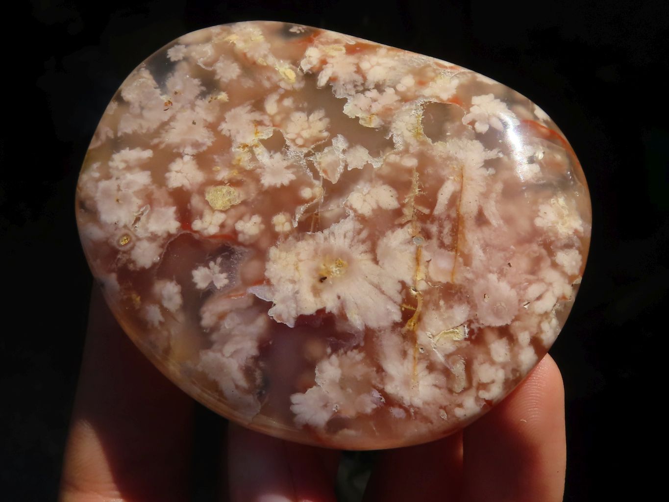 Polished Type - Gallet / Palm Stones