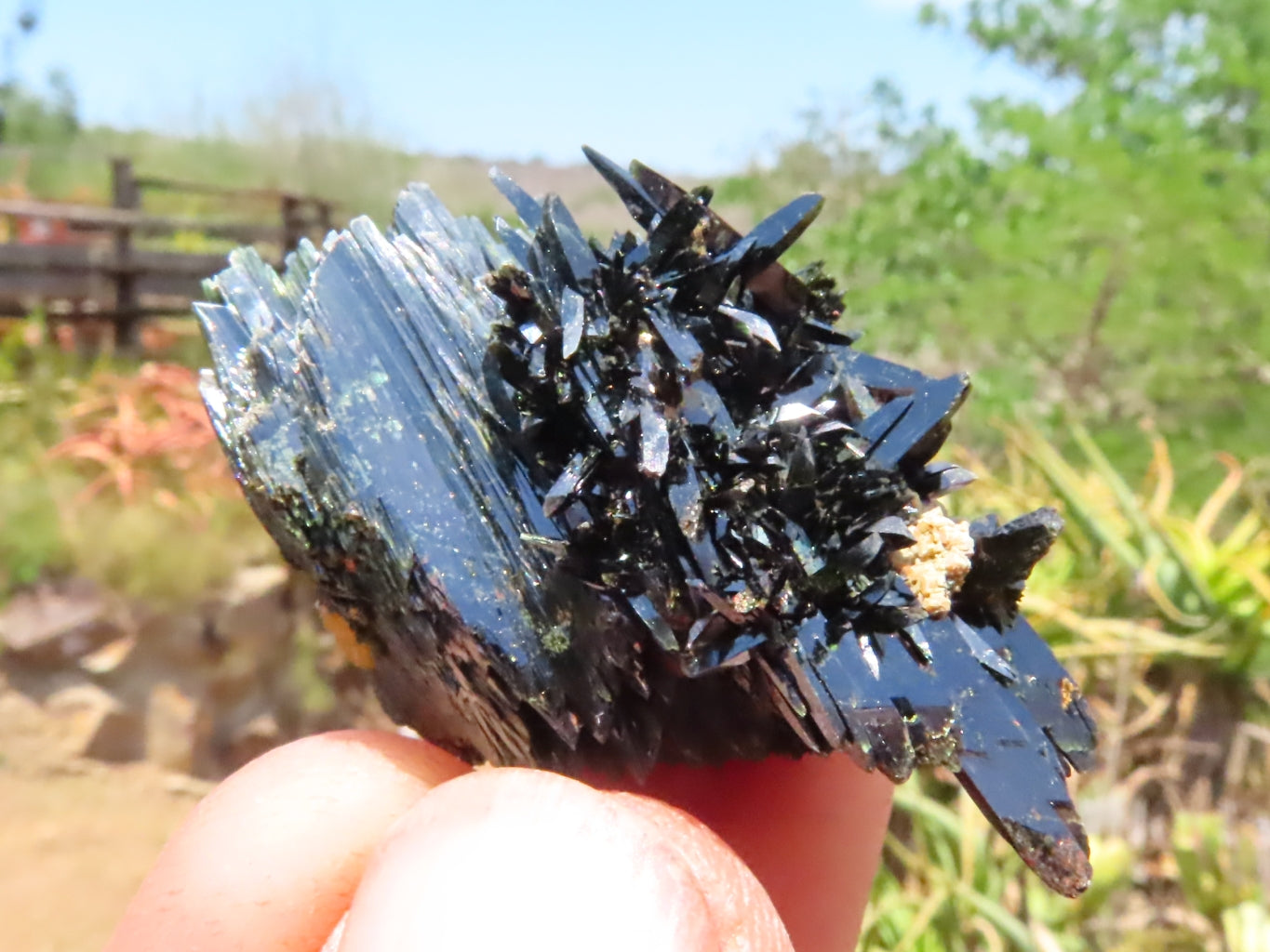Natural Single Clear Rainbow Quartz Crystals x 35 From Mpika