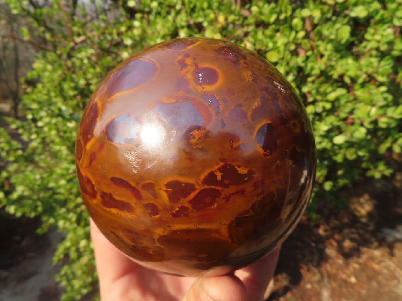 LUNAR JASPER