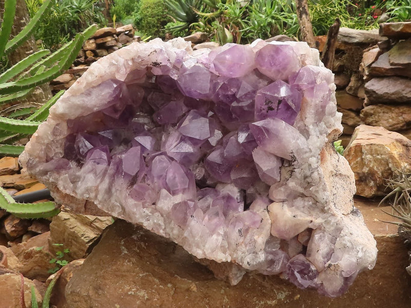 JACARANDA AMETHYST
