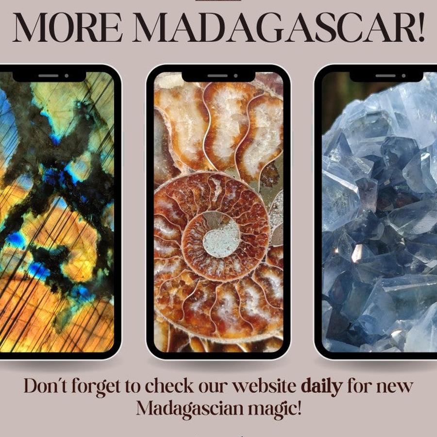 Latest from Madagascar