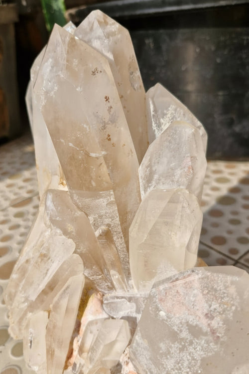 (+12 WEEKS!) Polished Large Clear and Smokey Quartz Cluster x 1 From Ambatofinandrahana, Madagascar