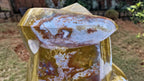 (+12 WEEKS!) Polished XXL Ocean Jasper Serpent Sculpture x 1 From Boeny, Madagascar
