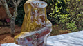 (+12 WEEKS!) Polished XXL Ocean Jasper Serpent Sculpture x 1 From Boeny, Madagascar