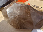 (+12 WEEKS!) Polished Large Double Terminated Smokey Quartz Crystal x 1 From Ambatondrazaka, Madagascar